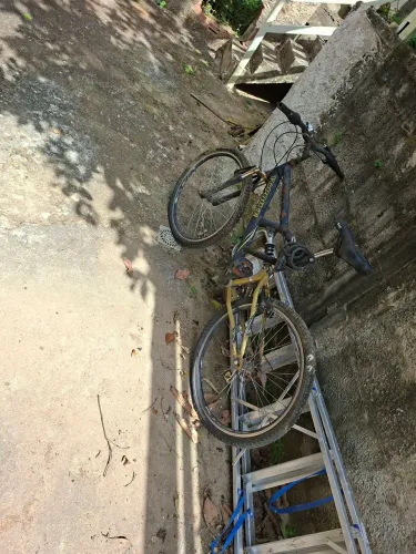 Biscicleta