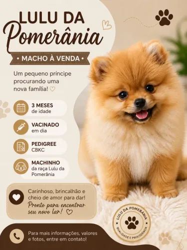 Lulu da pomerania