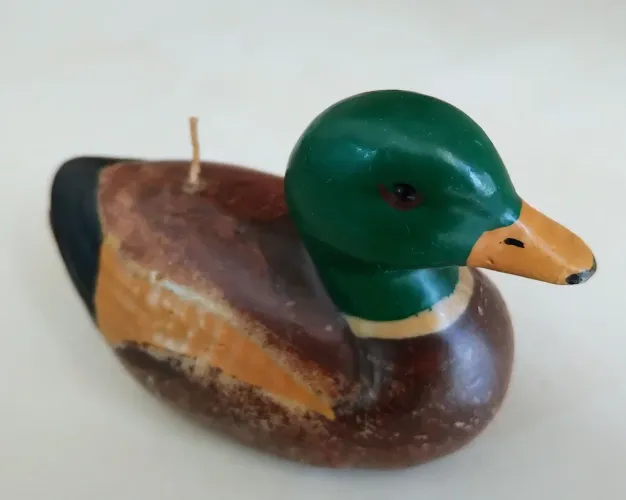 Patinho vela