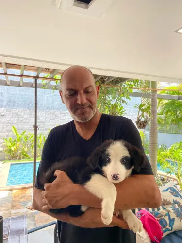 Adestramento de cachorros em João Pessoa