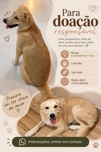 CADELA PARA ADOÇÃO RESPONSÁVEL