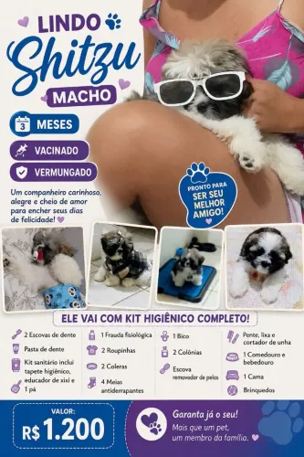 Cachorro 