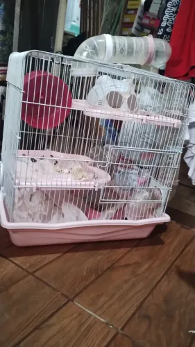 Gaiola safari para hamsters ou roedores grande