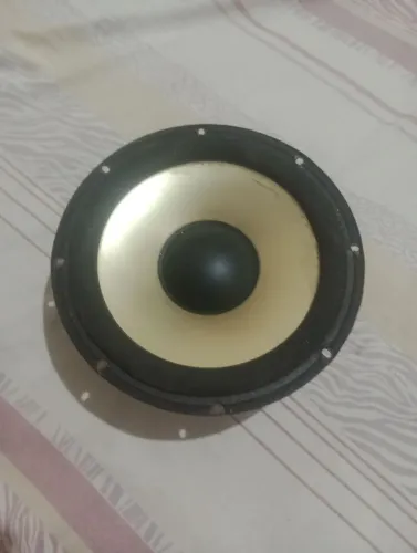 Vendo alto falante de 10