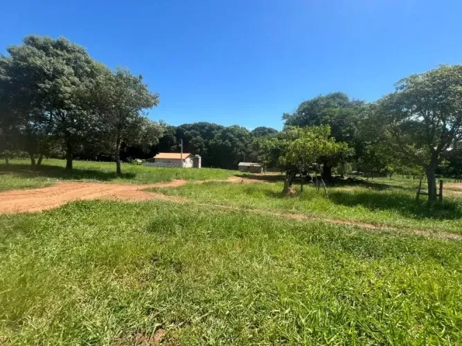 Fazenda Mutum 452 ha (186,79 alq, SP) - Rio Verde de Mato Grosso -MS