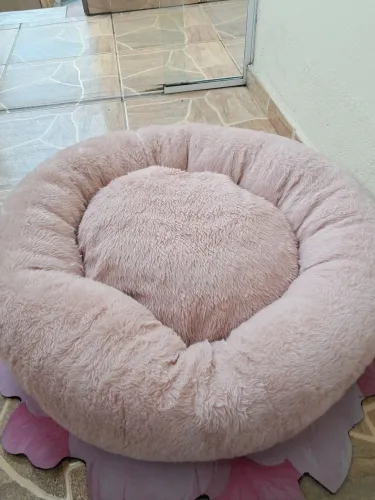 Caminha de cachorro