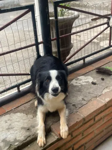 Doação