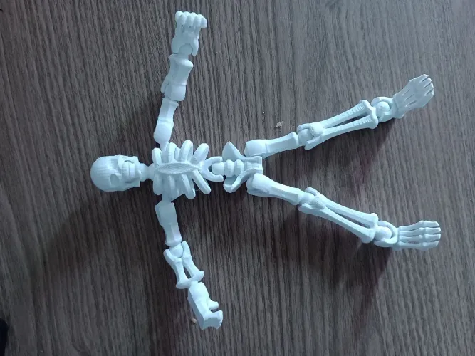 Caveira Esqueleto 3d Articulado ideal para Artistas Desenho ou Decoração