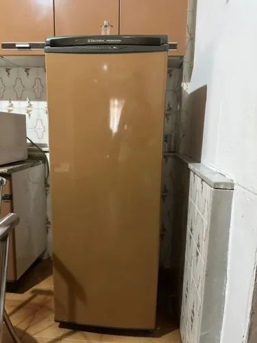 Freezer Vertical  Electrolux F21 210l