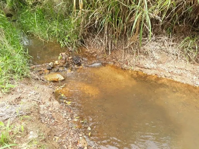 Chácara / Sítio no Oliveira em Tijucas/SC