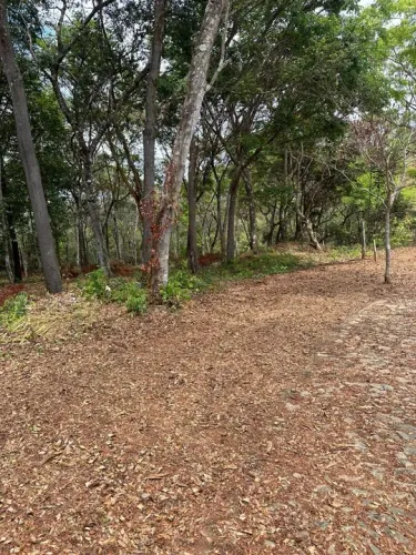 Excelente Lote no Serra Morena 