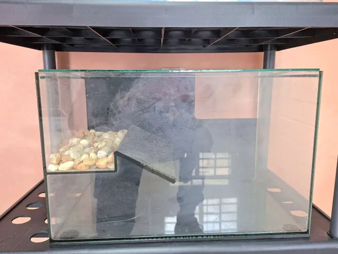 ? Aquaterrário 15 Litros com Rampa - Pronto para Tartarugas! ?