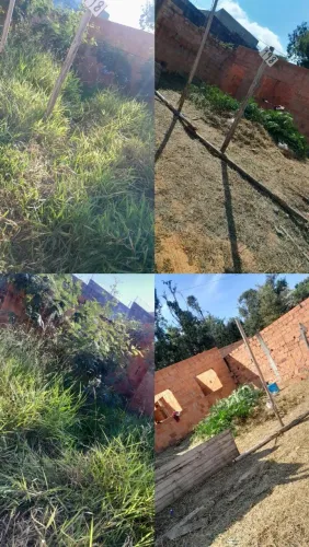 Jardinagem 