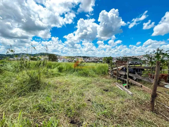 Lote localizado no bairro São Roque