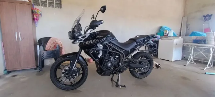 Tiger xrx 2019