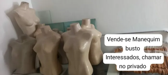 Manequim busto