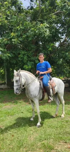 Égua tordilha