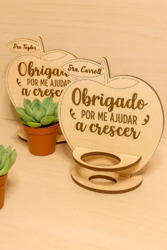 Porta suculenta presente dia dos professores