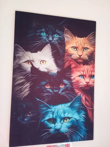 Quadro Gatos 70 cm