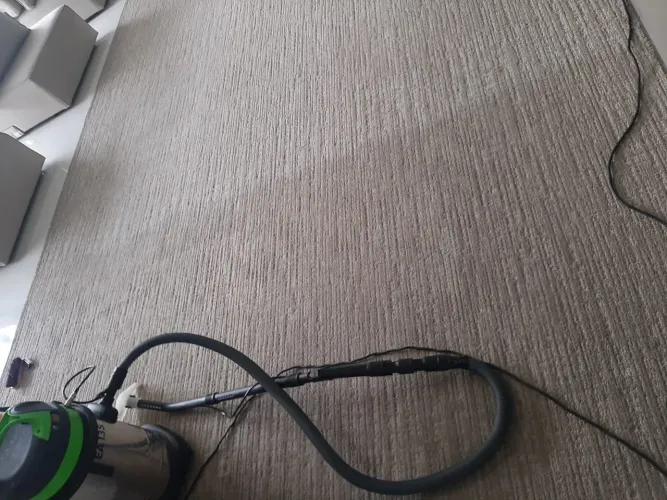 Limpeza Profissional de Carpetes | Higienização e Remoção de Manchas