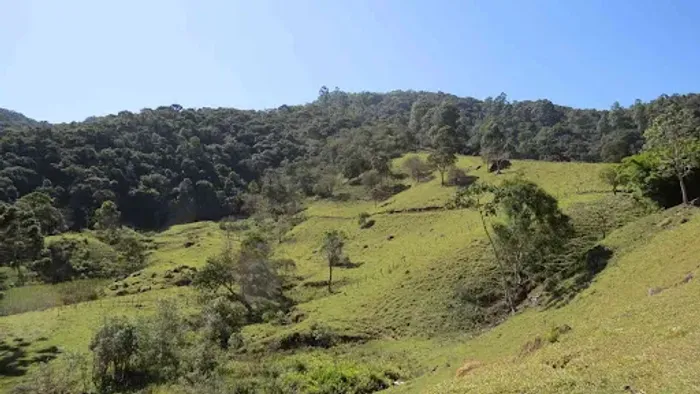 Área à venda, 36000 m² por R$ 550.000,00 - José da Rosa - São Bento do Sapucaí/SP