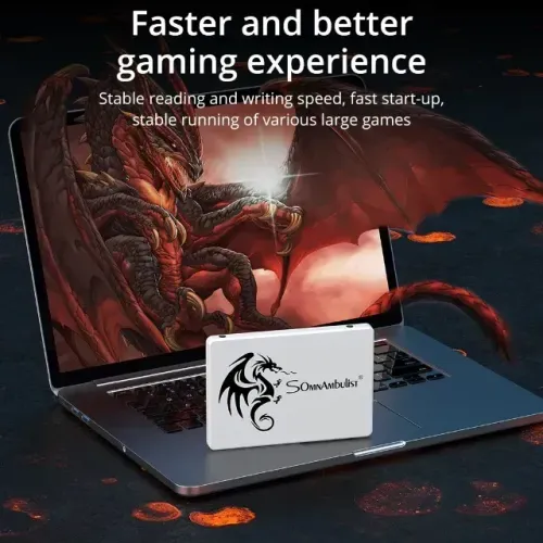 SSD 128GB - 2.5 Sata III - SomnAmbulist SSD 2.5