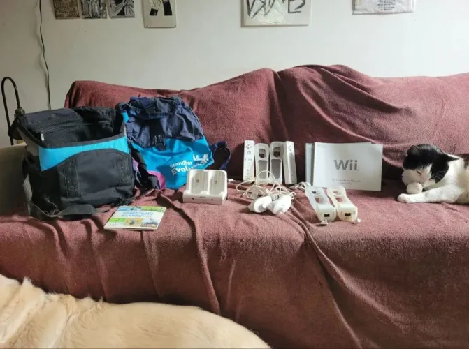 nintendo wii completo