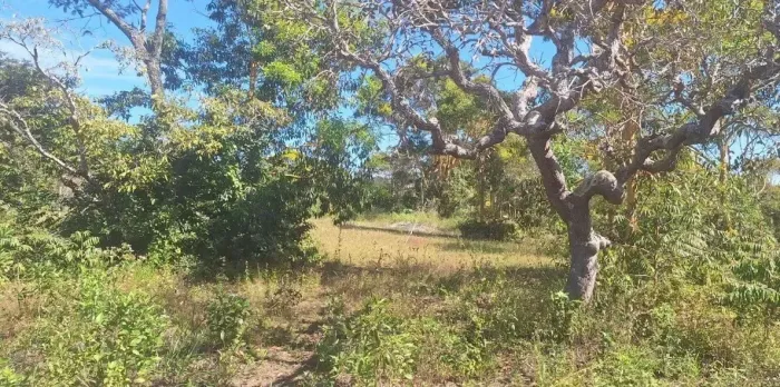 Terreno à Venda em Chapada dos Guimarães - 5.000 m² codigo: 323262