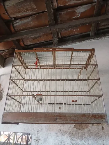 Gaiola um 30 outro também é 30 