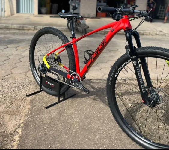 Bicicleta oggi