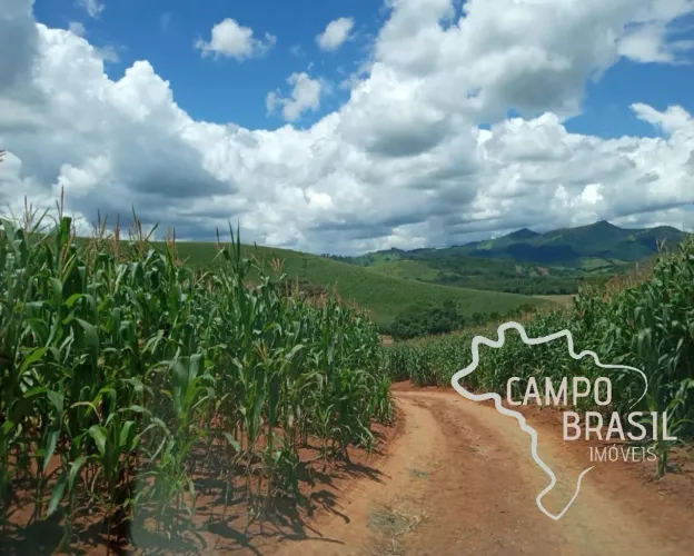 FAZENDA 178 HECTARES NO SUL DE MINAS COM POTENCIAL PARA CULTURA A 4 KM DO ASFALTO!