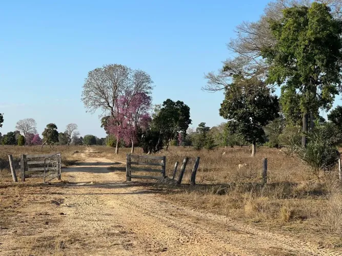 FAZENDA À VENDA 300 ALQUEIRES NOVA XAVANTINA/MT ALTA PRODUTIVIDADE