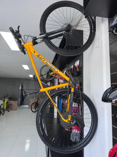 Bicicleta absolut wild 2 nova 