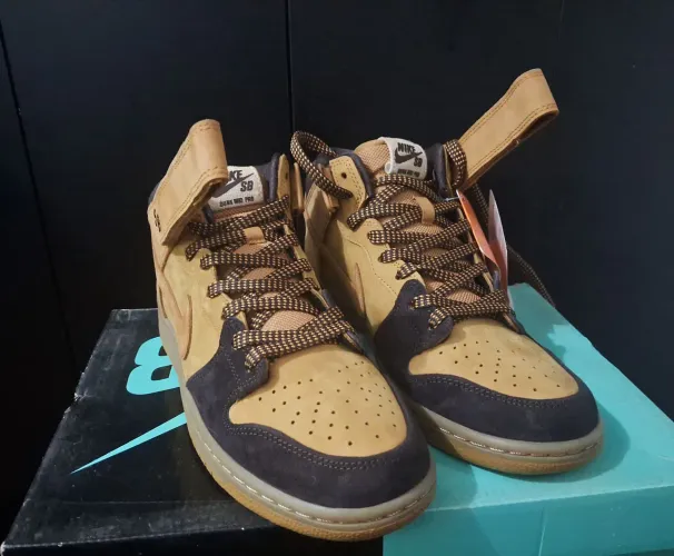 Tenis nike dunk SB
