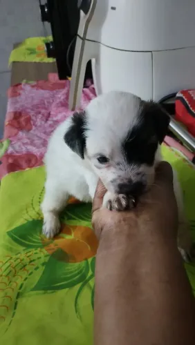 Doação responsável 