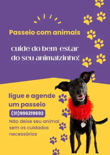 Passeio e cuido do seu pet!