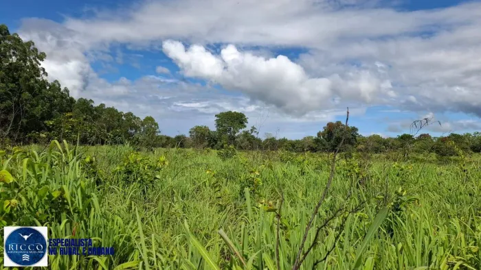 Fazenda à Venda em Chapada da Natividade  TO | 194 Alqueires