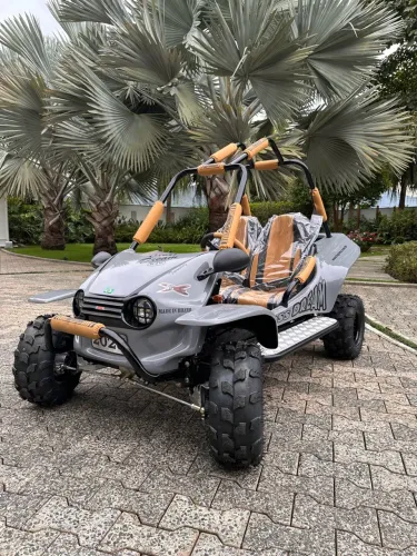 Mini Buggy Fapinha
