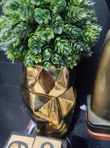 Vaso com planta moderno 