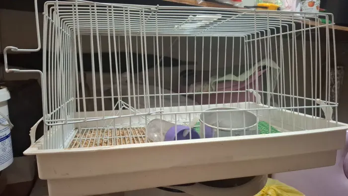 Cerdadinho gaiola para roedores porquinho da Índia coelhos