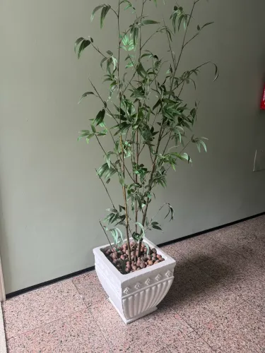Lindo Vaso de cimento decorativo com bambu da sorte artificial