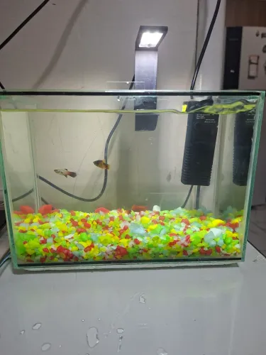 Aquário 4.5 litros com luminária Led e filtro interno 