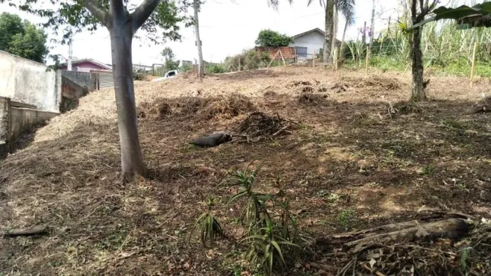 TERRENO no ITINGA com 0 quartos para VENDA, 0 m²