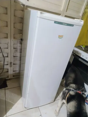 Freezer vertical consul 