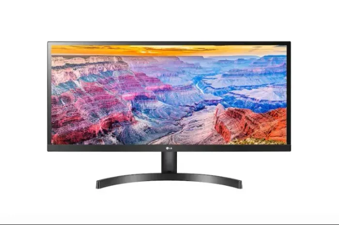 LG UltraWide 29WL500