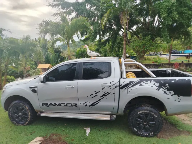 Ford Ranger XLS 2.5 16V 4X2 CD Flex 2013