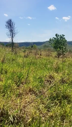 Vendo 55 hectares (11,5 alqueires goiano) perto de JataÍ - GO