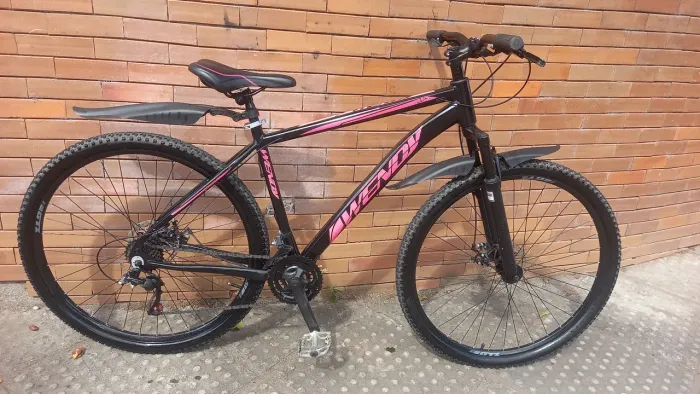 Bicicleta Aro 29 Feminina