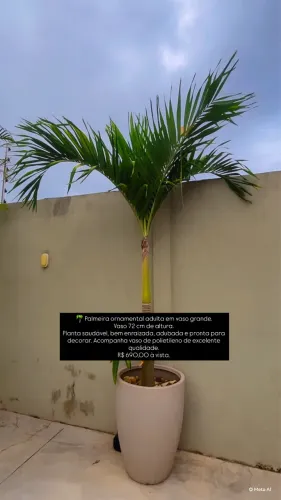 Plantas