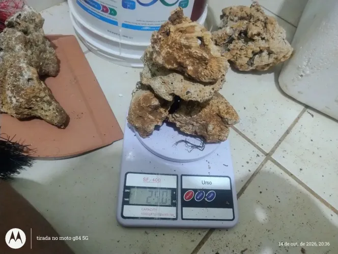 Vendo 10 kg de rochas marinhas
